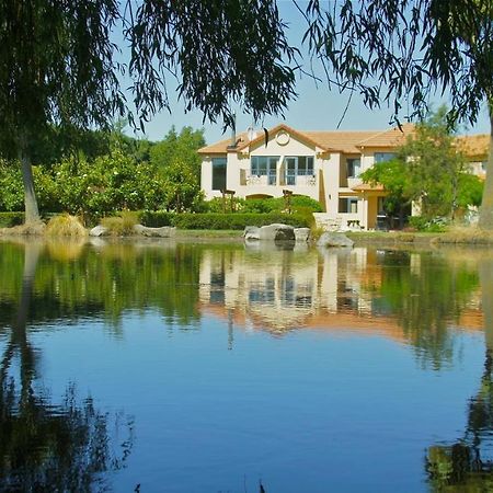 Tuscany Downs Estate Darfield 外观 照片